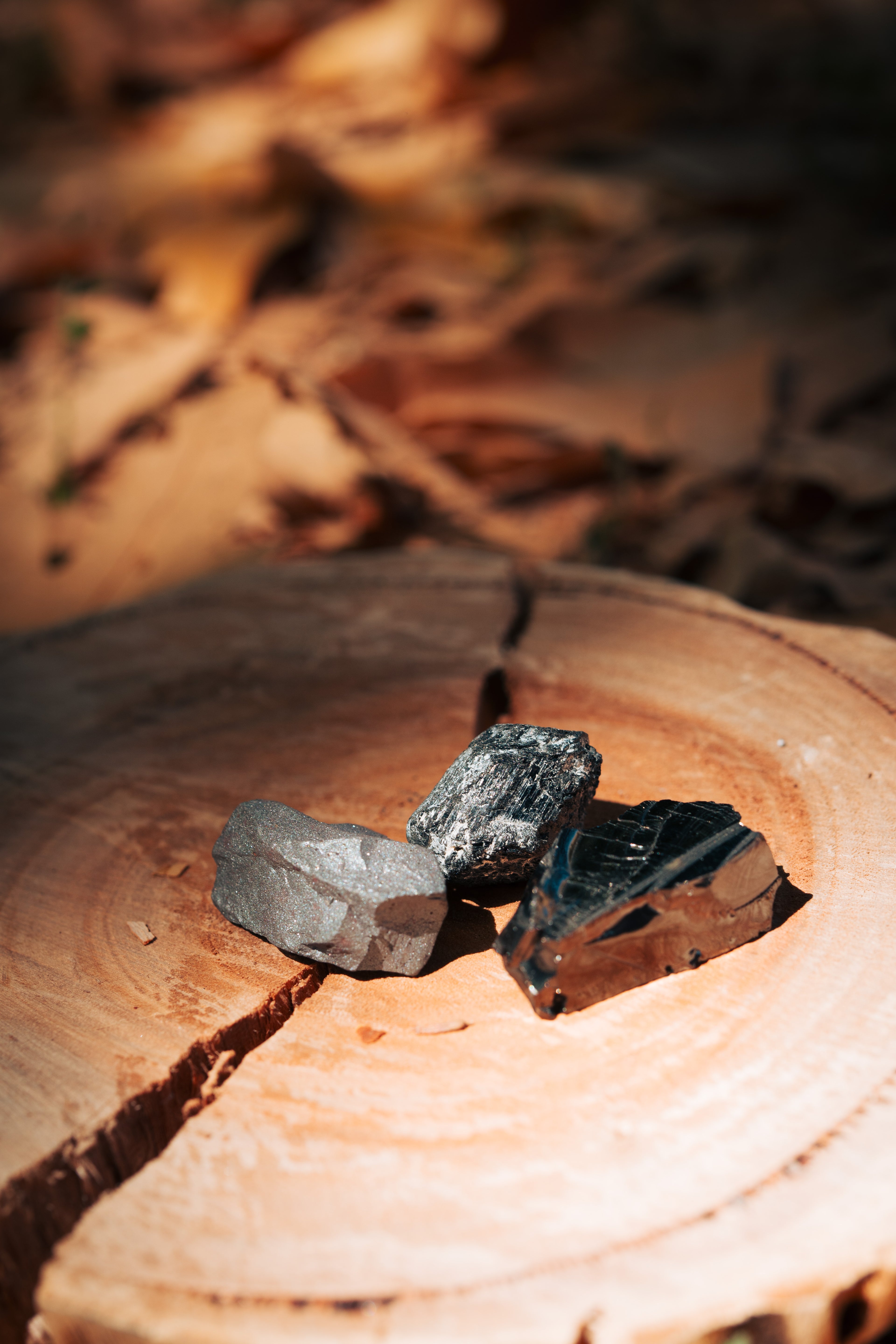 ערכת הגנה והשרשה