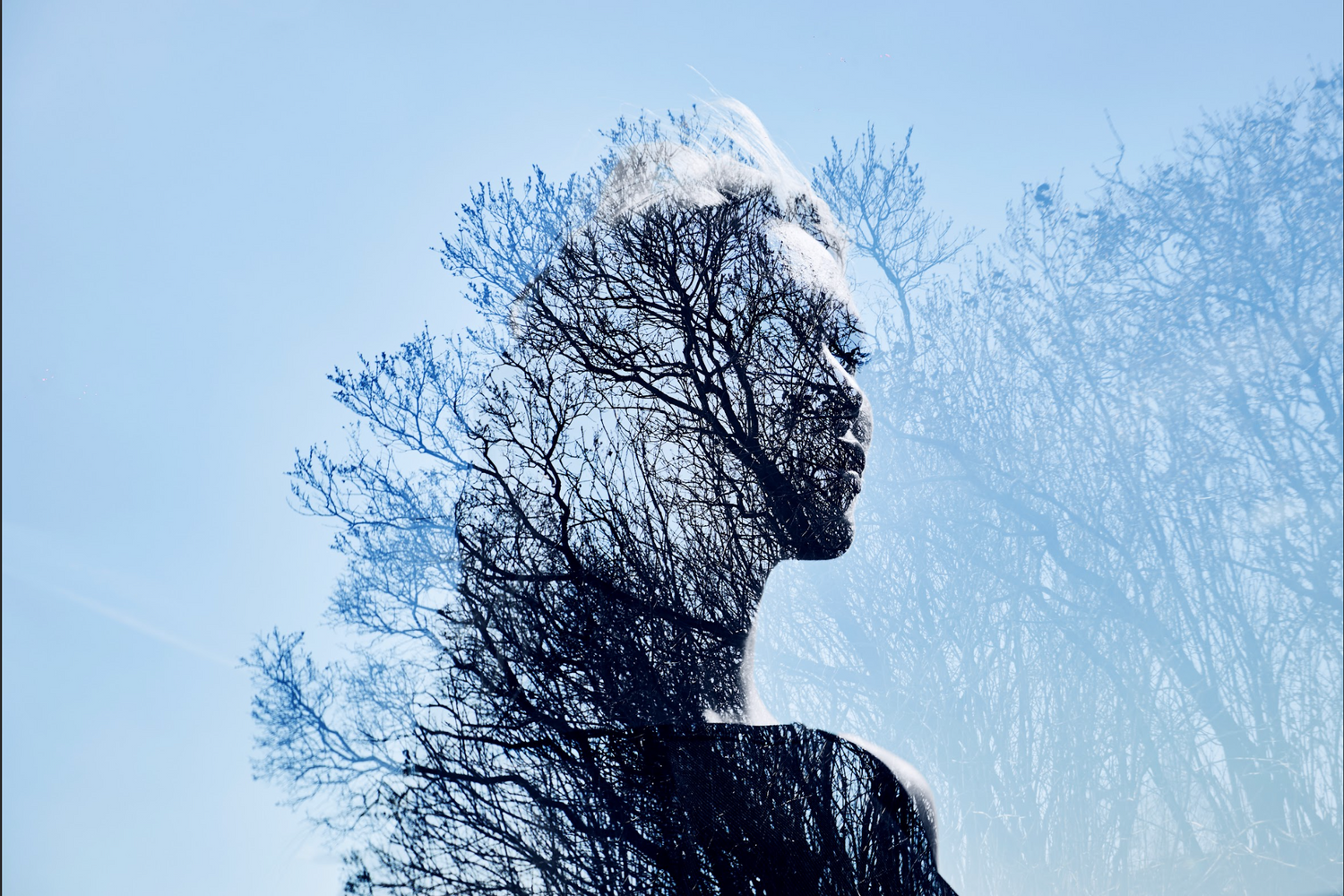 הקשר בין כימיה לתדרים במוח