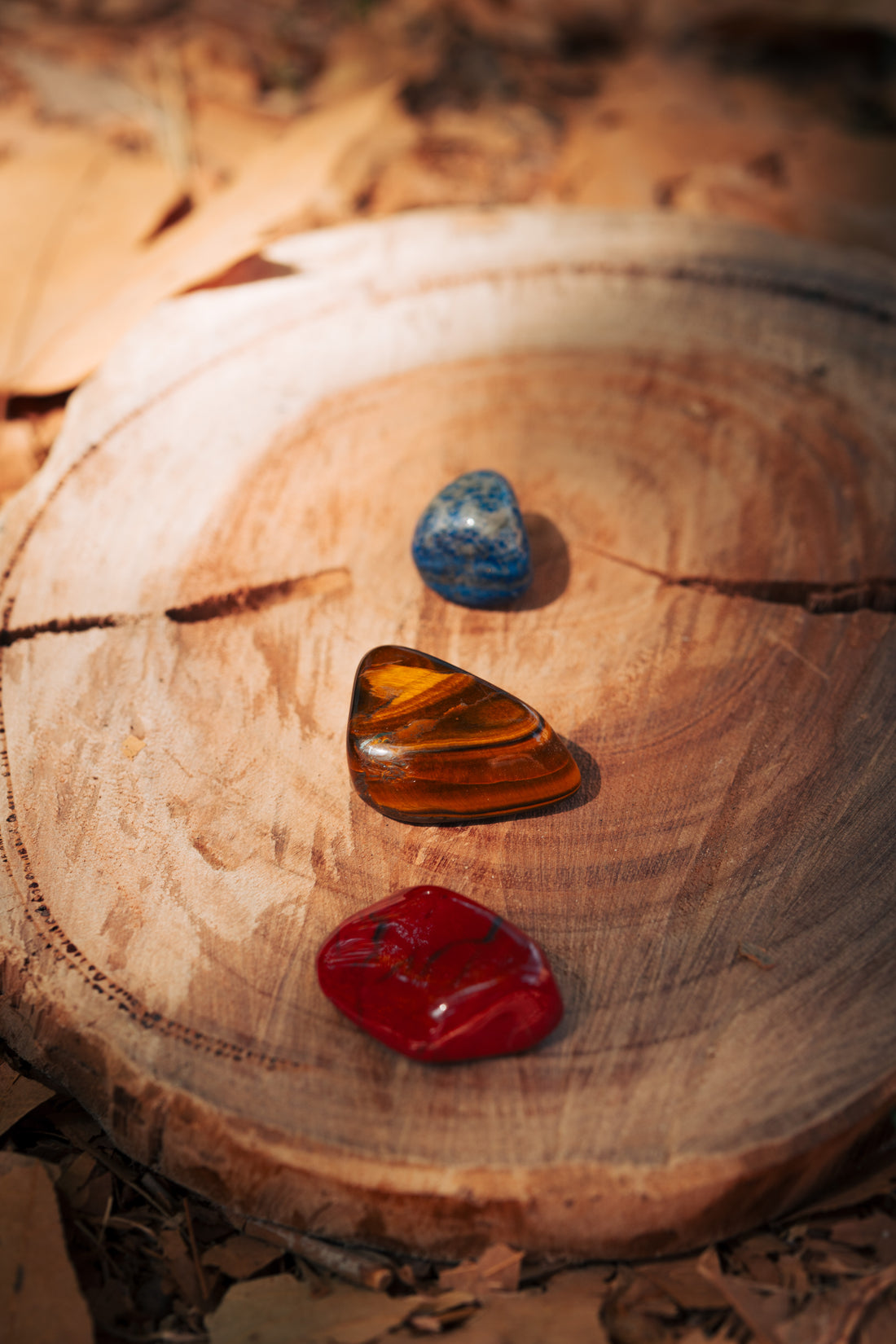 ערכת אומץ, נחישות והובלה