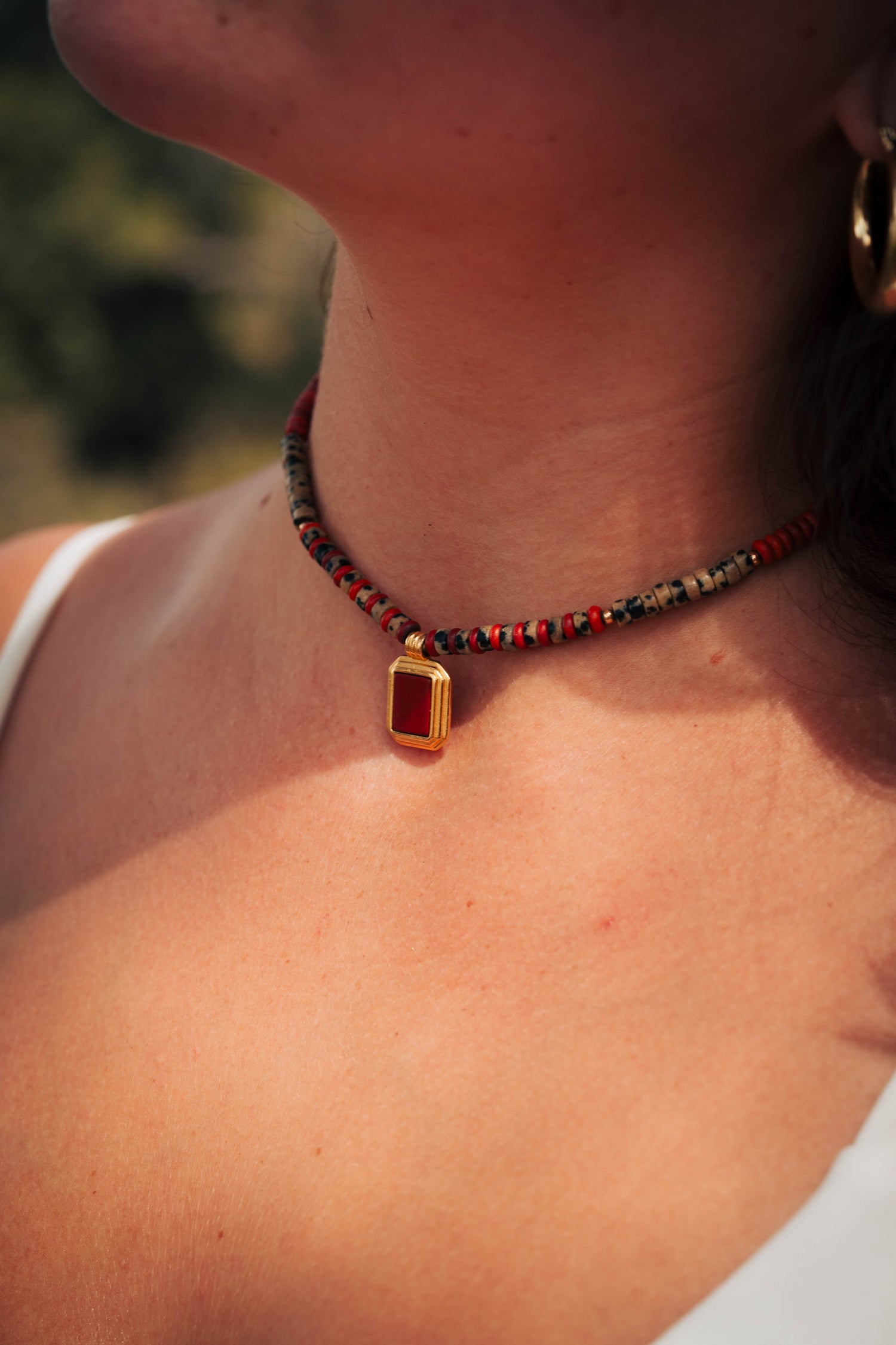 שרשרת ג׳ספר אדום וג׳ספר דלמטי