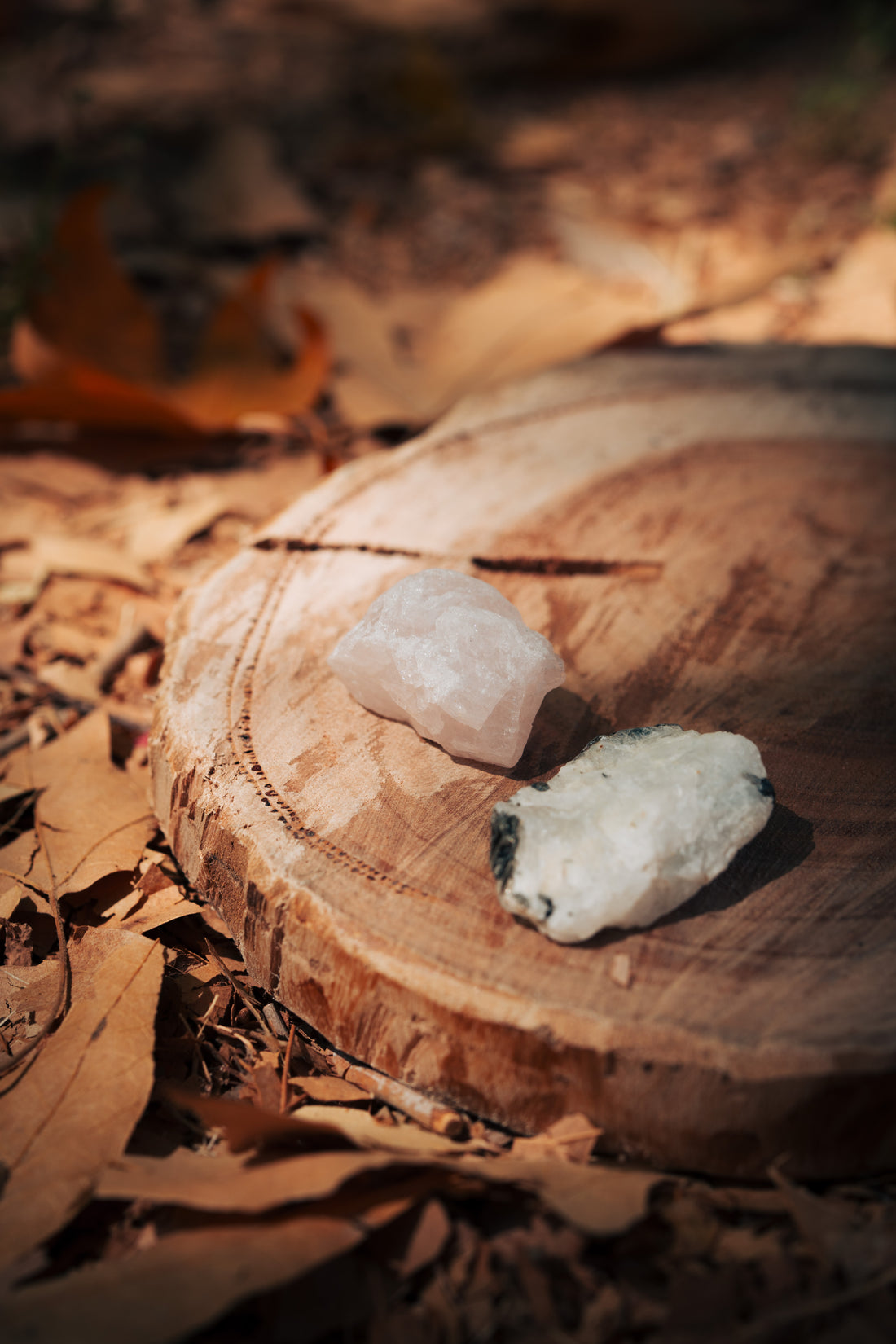 ערכת אהבה רכה ונשית