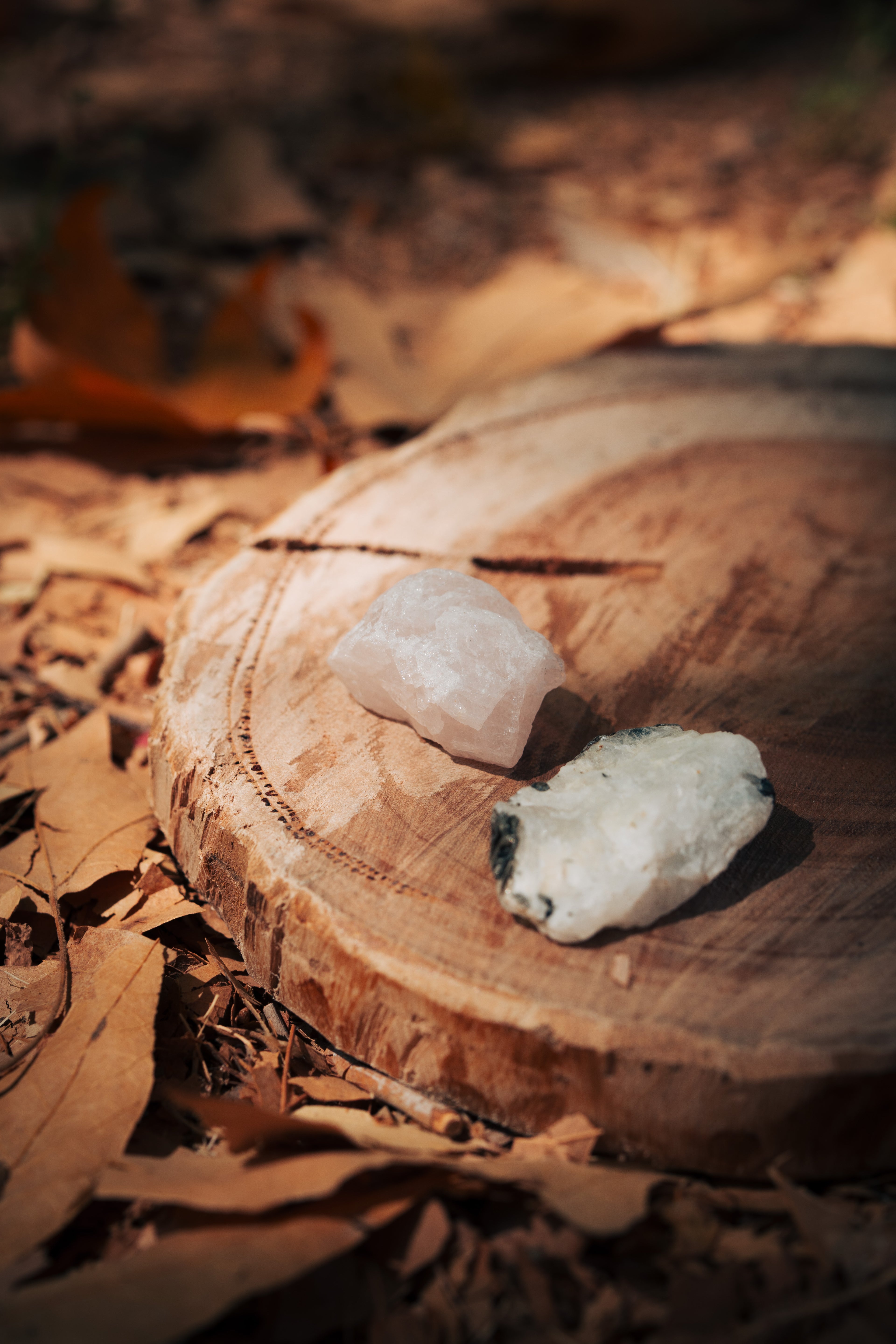 ערכת אהבה רכה ונשית