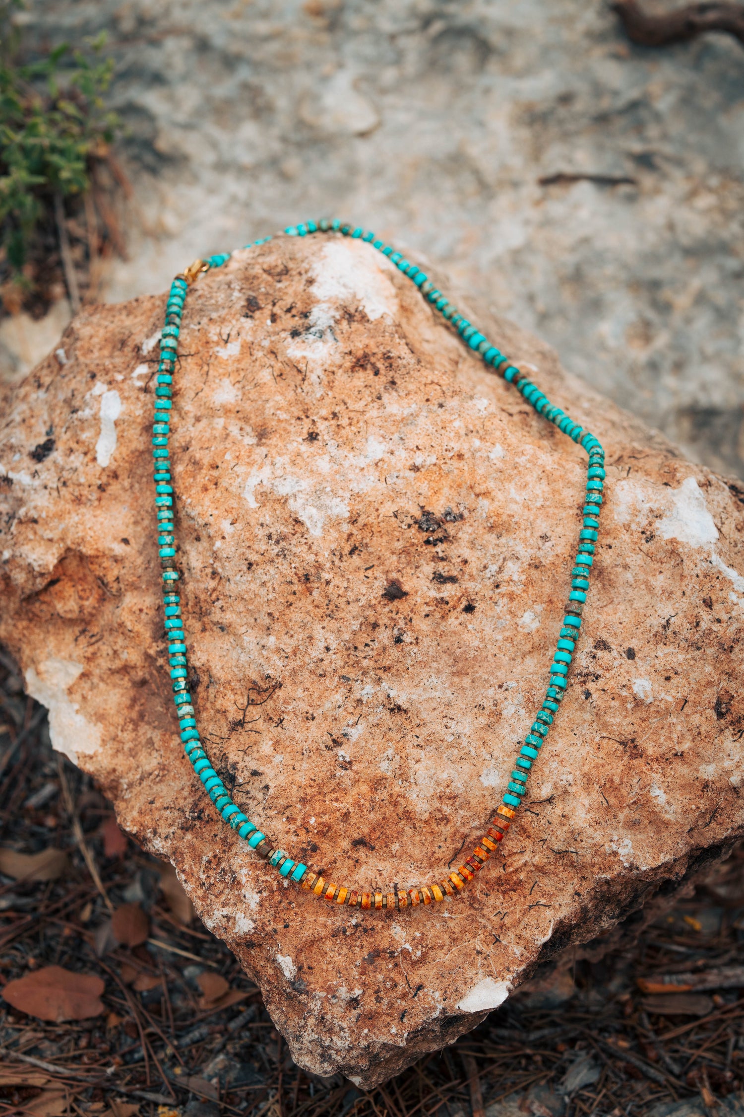 שרשרת היולייט-המטייט‎