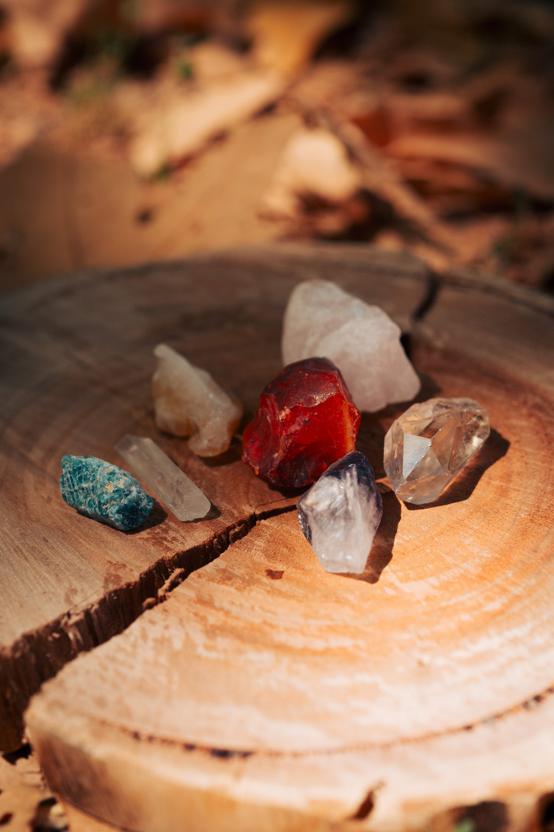 ערכת הצ׳קרות המלאה